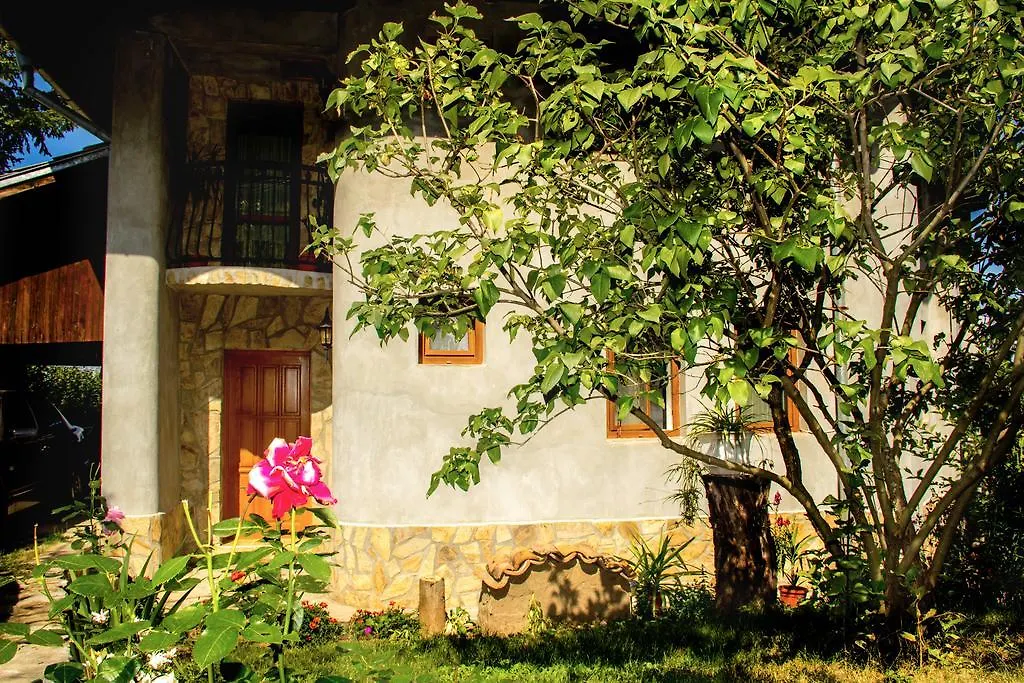 Villa Pontica Sofia Séjour chez l'habitant
